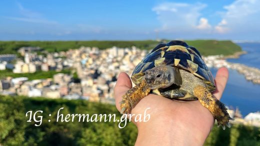 澎湖三仙塔，俗稱「澎湖小希臘」